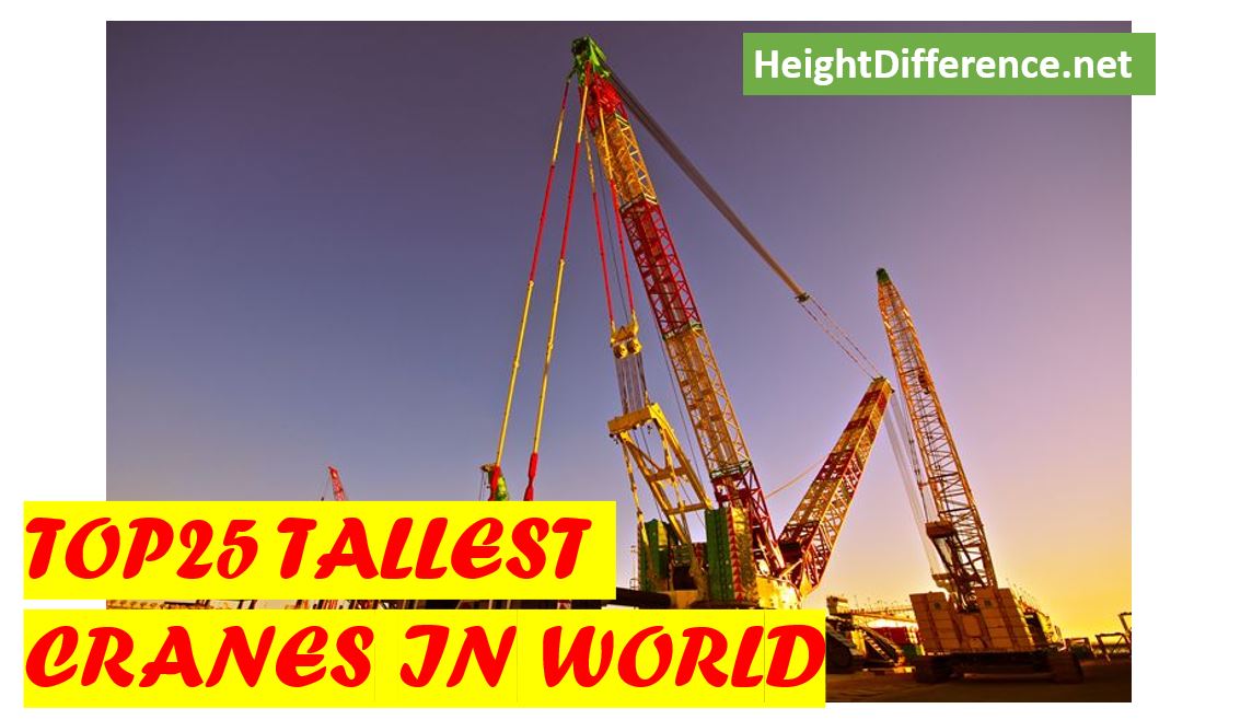 Top 25 Tallest Cranes in the World Height Difference